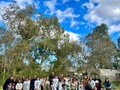 Destacado reconocimiento a maestro del Club de Niños &quot;Los ... Imagen 4